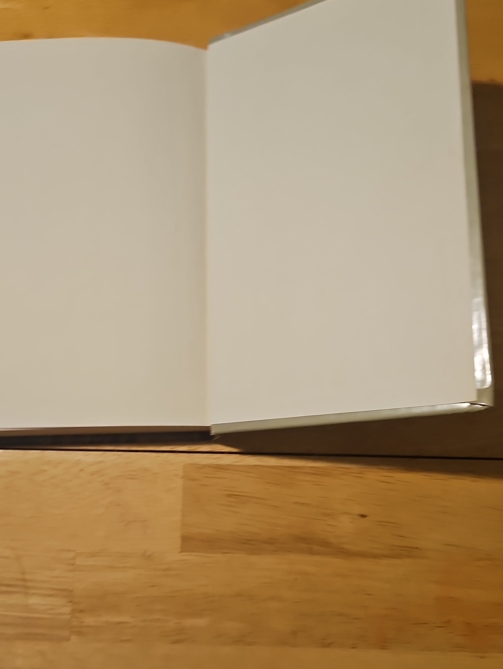 The Rough Rider Hardcover Book - Picture 5 of 6